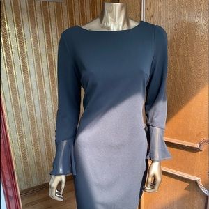 Gorgeous Calvin Klein dress w/ sheer bell sleeves